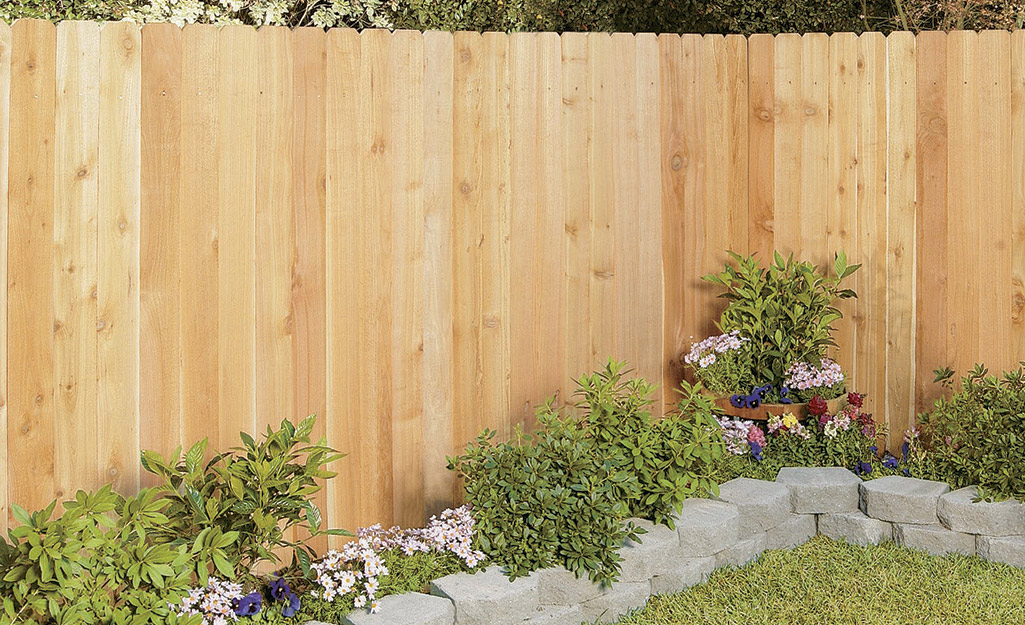 A cedar privacy fences features a natural warm color