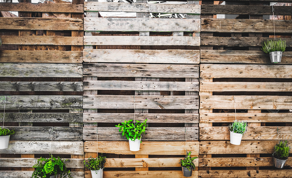 Potted plants hang from the slats of a fence made from upcycled shipping pallets
