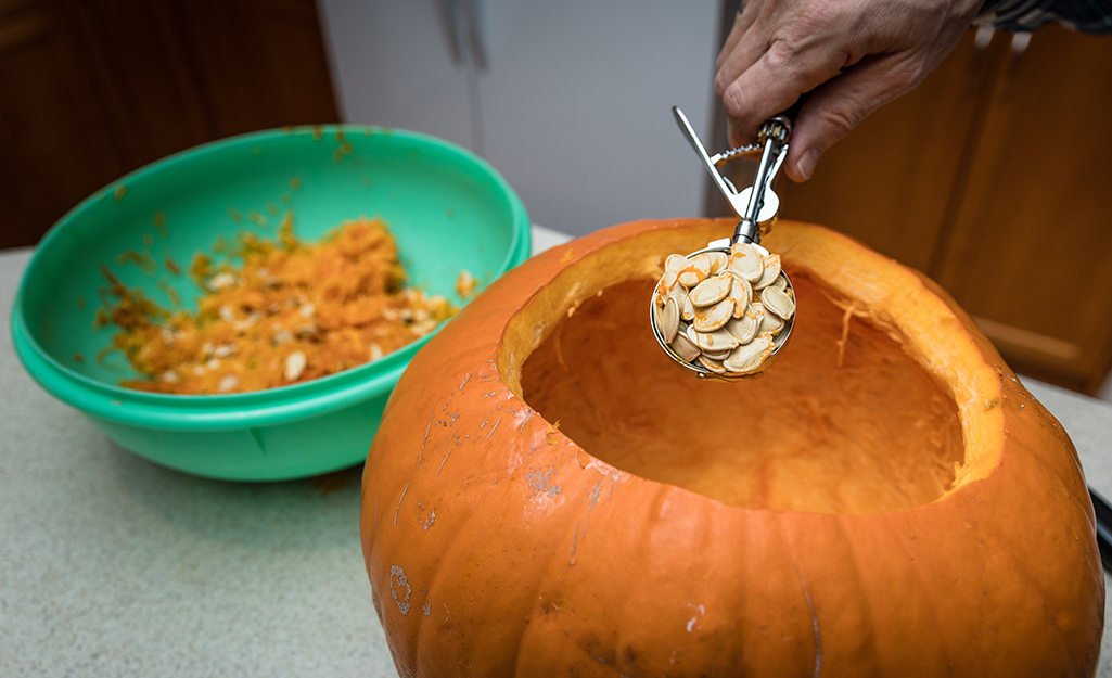A person uses a scoop to remove seeds from a hollowed-out pumpkin.