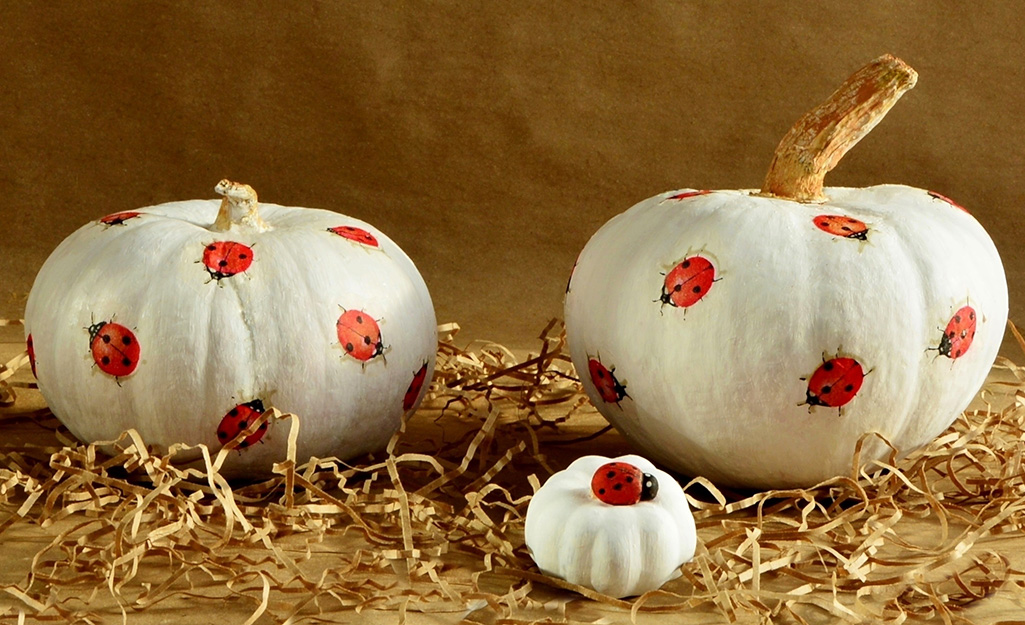 Pumpkins with lady bugs painted on them.