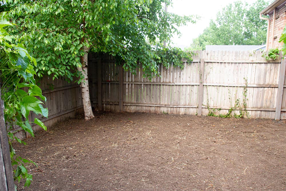 A cleaned up backyard with a fence and trees.