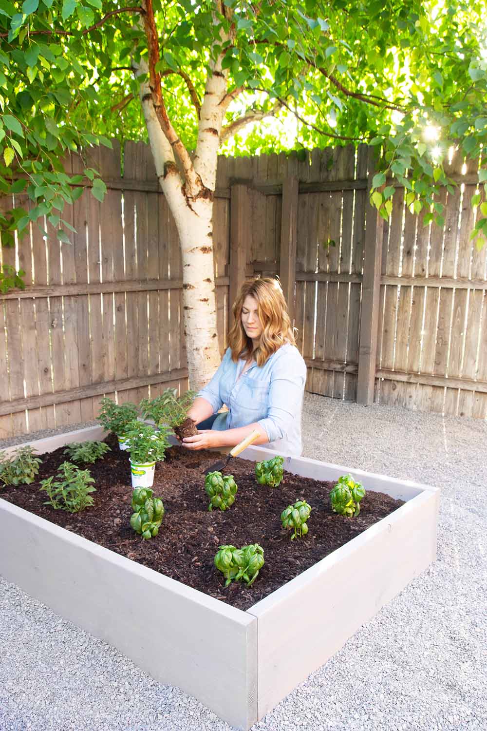 A woman planting herbs in a raised garden bed.