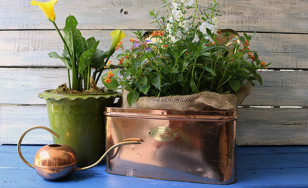 Copper bread box filled with plants