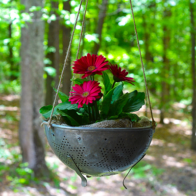 Recycle and Repurpose Containers for Plants
