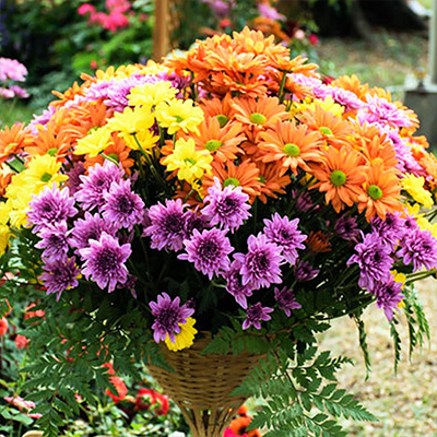 Fall Flower Container Ideas