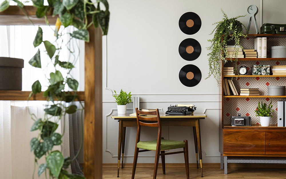 Plants winding their way over bookcases.