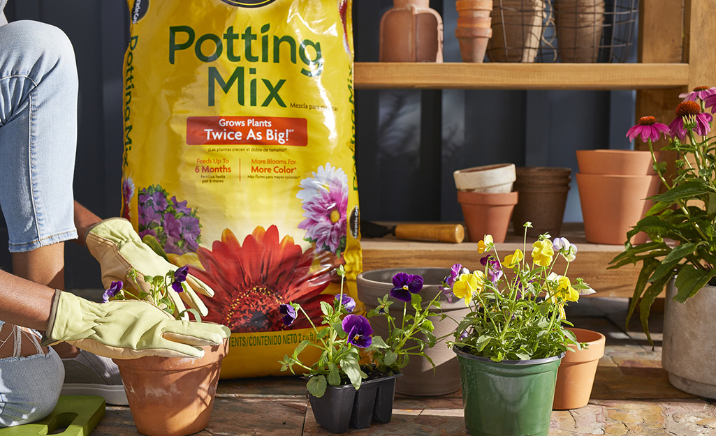 A person repots a plant in front of flowerpots stacked on a bench.