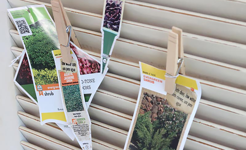 Plant tags hang from clothespins on a shutter.