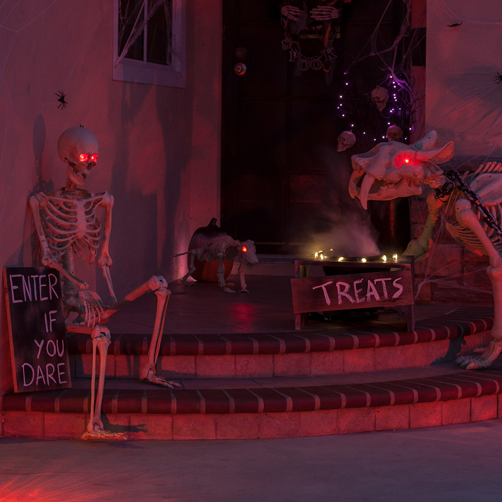 A small front porch decorated for Halloween with a skeleton and sabre tooth cat with glowing eyes.