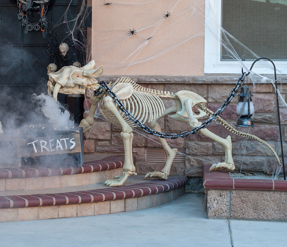 A sabre tooth cat on a chain stands on a step.