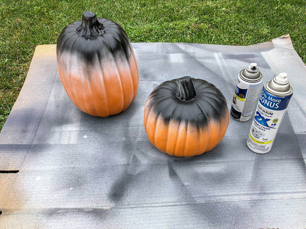 Two pumpkins with black spray paint on the tops.