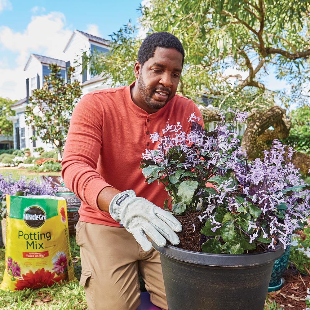 Summer Outdoor Gardening 101 - The Home Depot