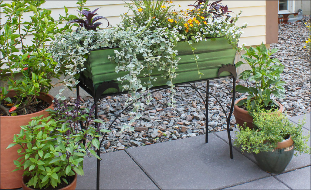 Several plants and planters. Several plants and planters.
