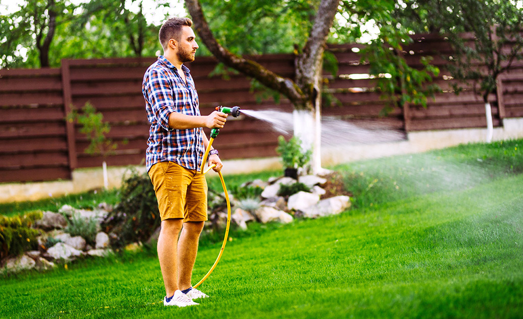 A person waters a lawn with a garden hose.