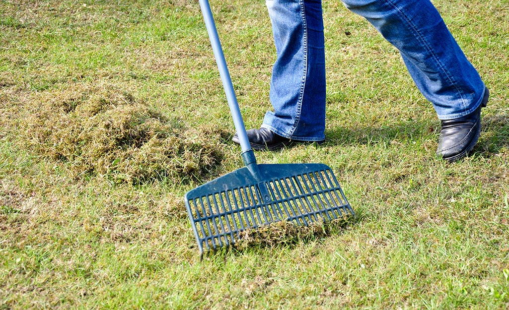 A person rakes up lawn clippings.