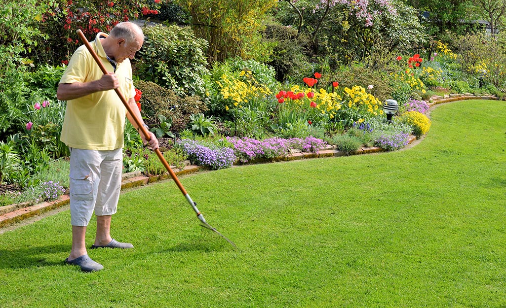 A person rakes a lawn in springtime.