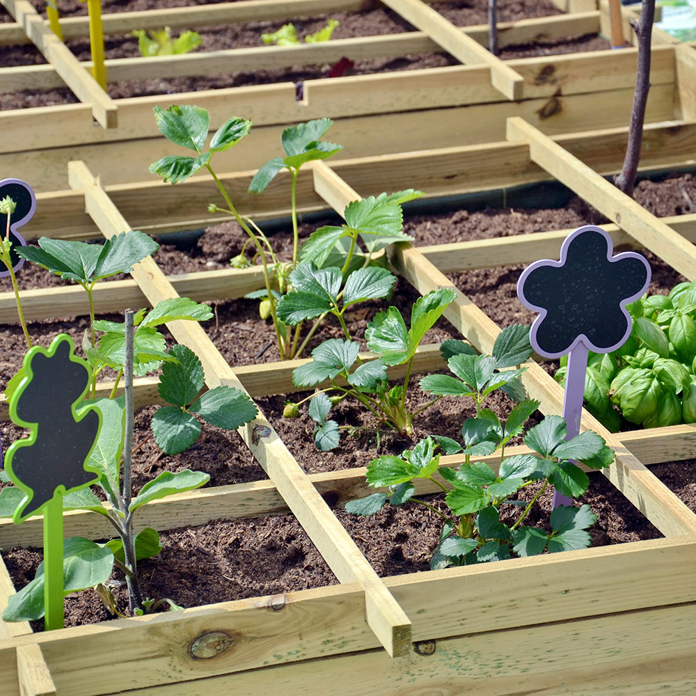 Square Foot Gardening - How Does Companion Planting Work? - One