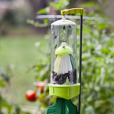 How to Trap Stink Bugs - The Home Depot