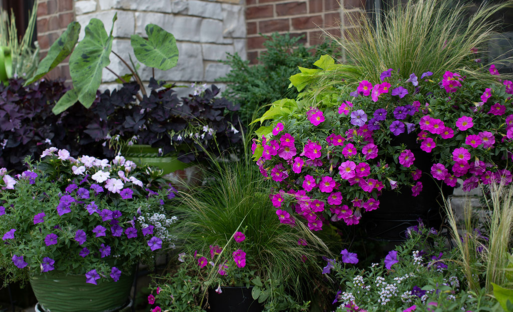 7 Ways to Enjoy Your Flower Garden - The Home Depot