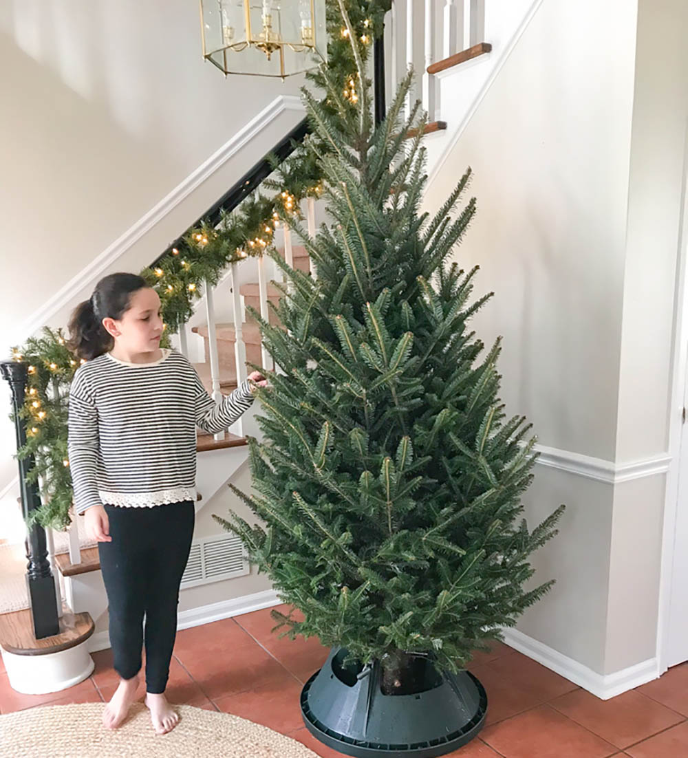 The Benefits of Christmas Tree Delivery - The Home Depot