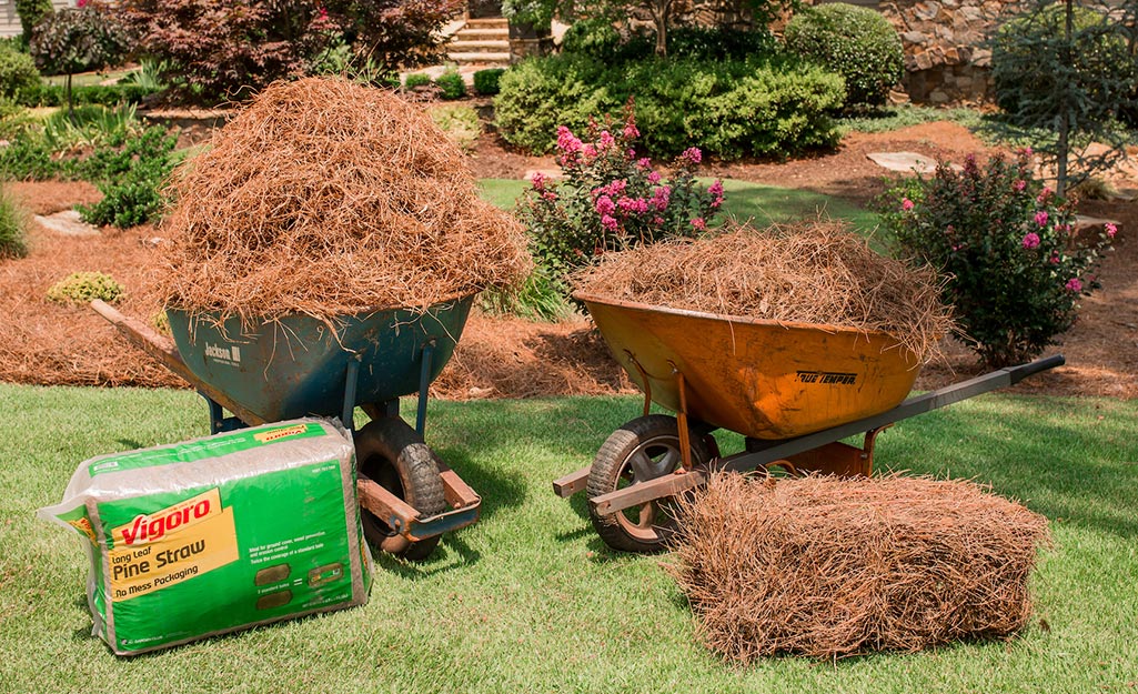 Best wheelbarrow deals for mulch