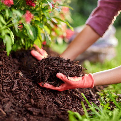 Garden mulch deals