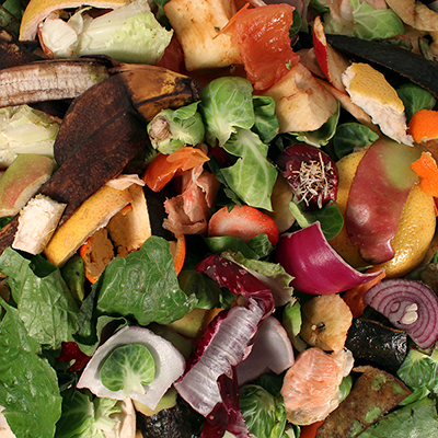 Tips for Composting