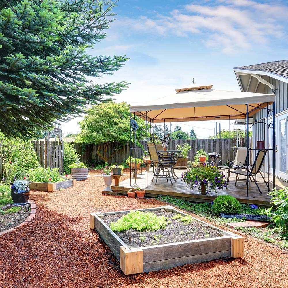 Backyard raised garden bed and deck with pergola