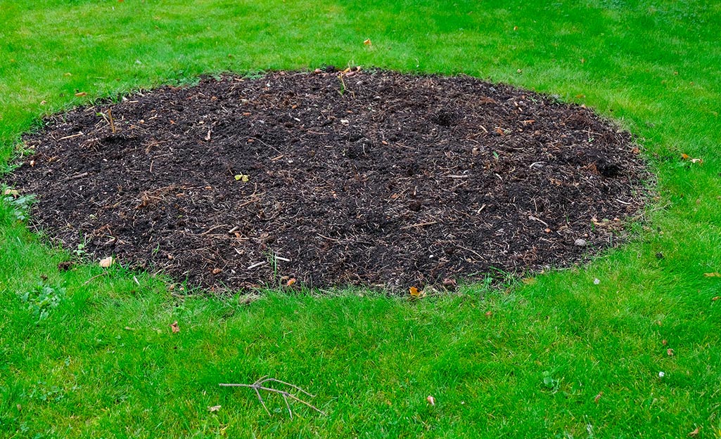 How to Top Dress Your Lawn - The Home Depot