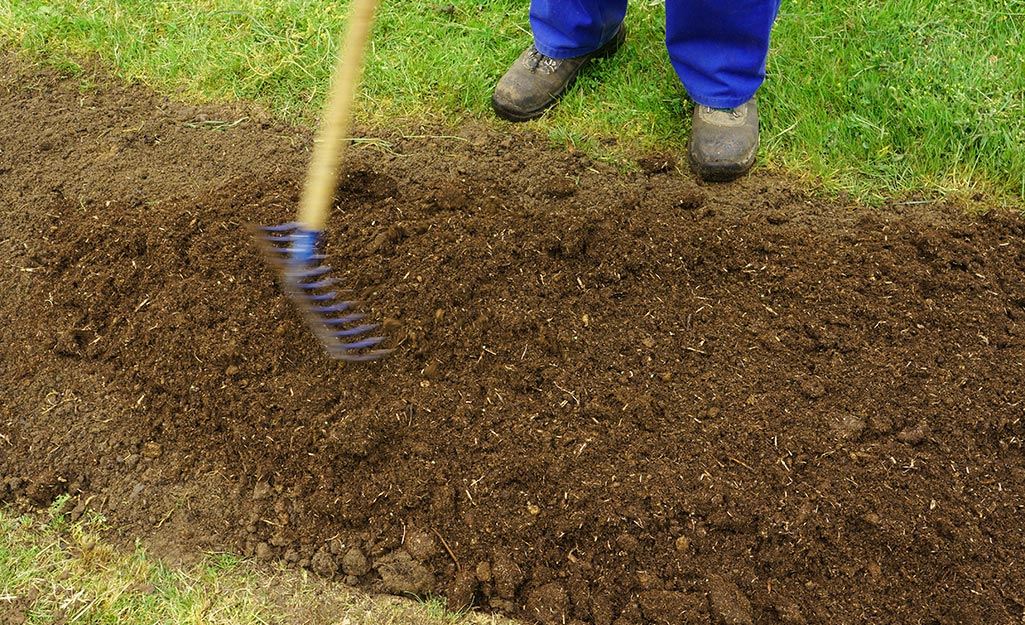 Topping soil store for grass