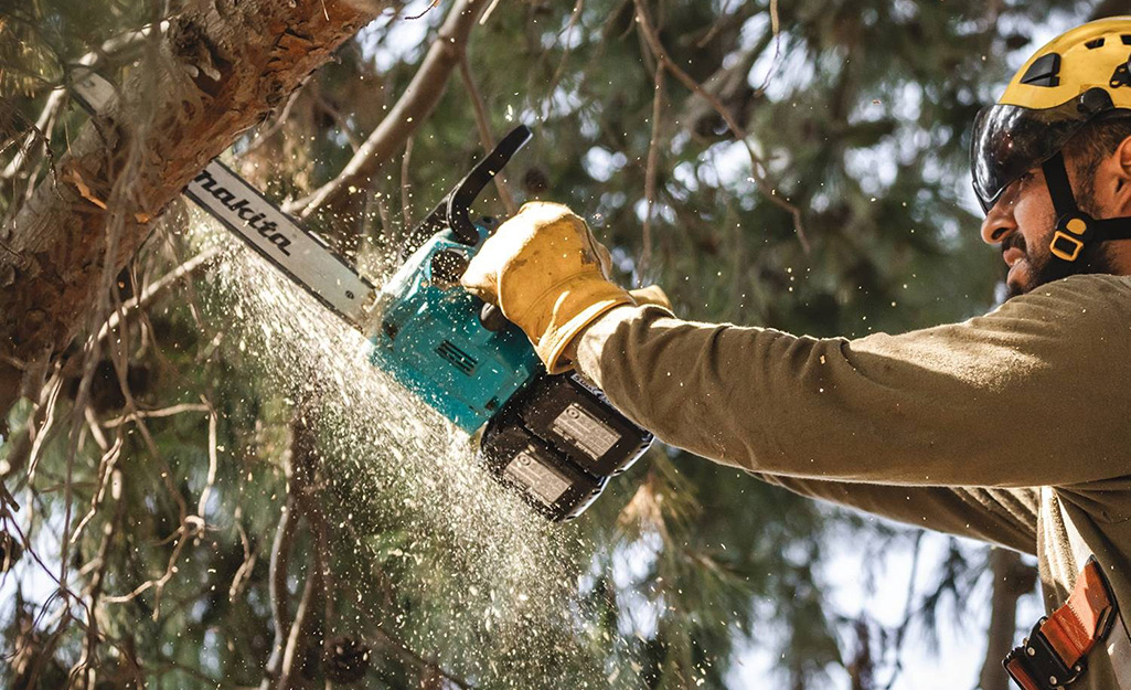 Man saws into a tree while wearing protective gear. Man saws into a tree while wearing protective gear.