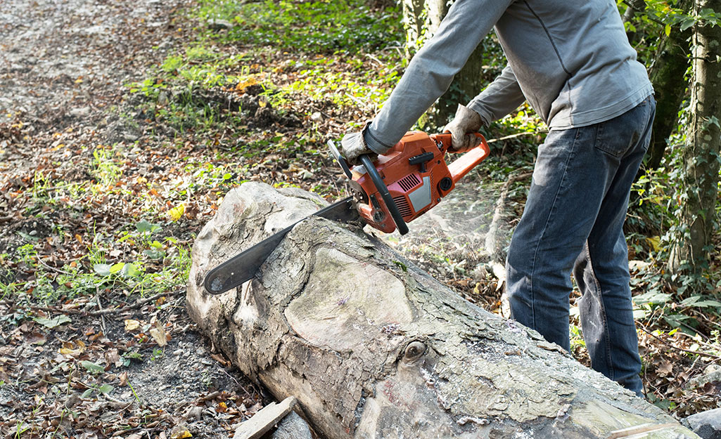 Man cutting up a felled tree into pieces. Man cutting up a felled tree into pieces.
