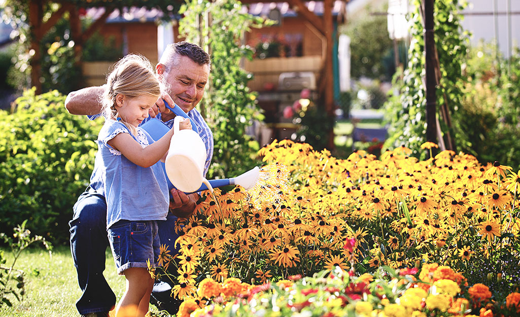 A little girl and a man water a summer garden