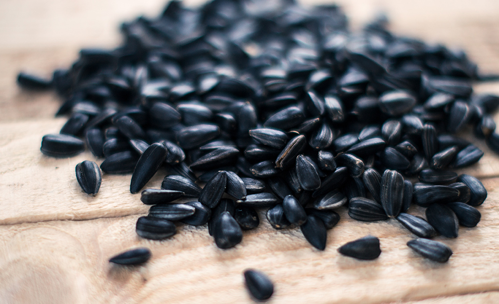 A pile of black oil sunflower seeds on wood.