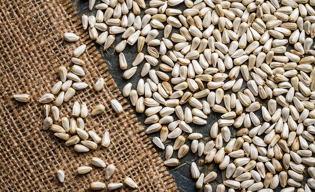 A pile of safflower seeds on a burlap and wood surface.