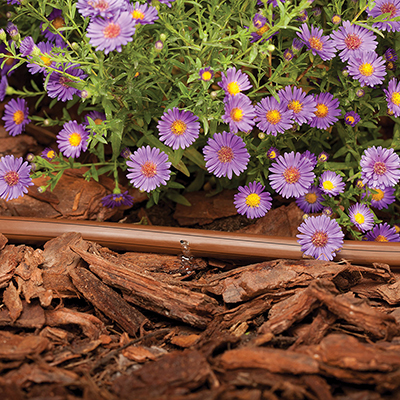 Drip Irrigation Buying Guide