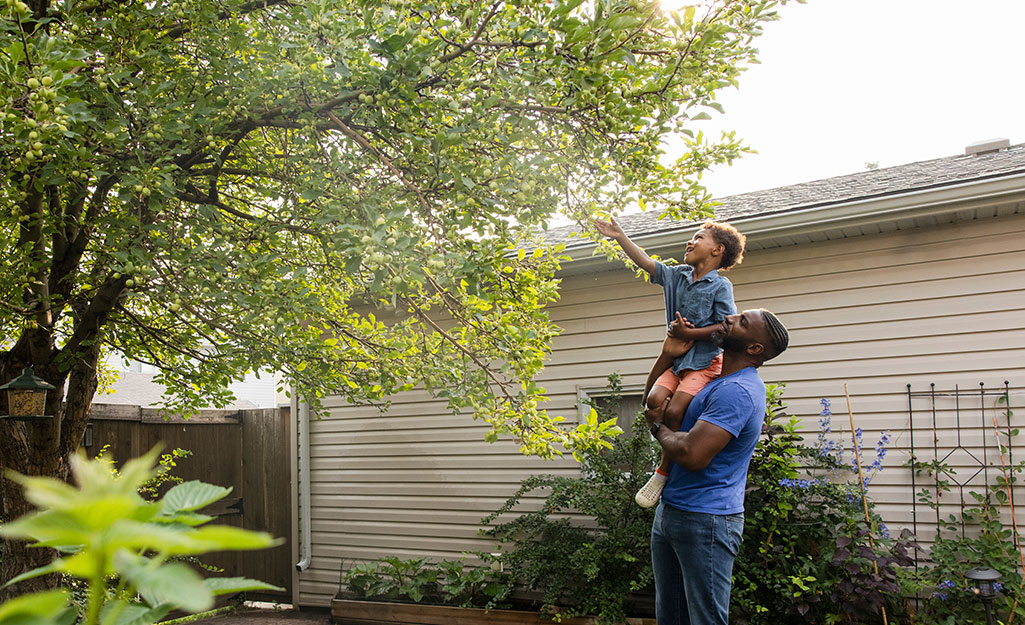 Man holding child to pick fruit from tree