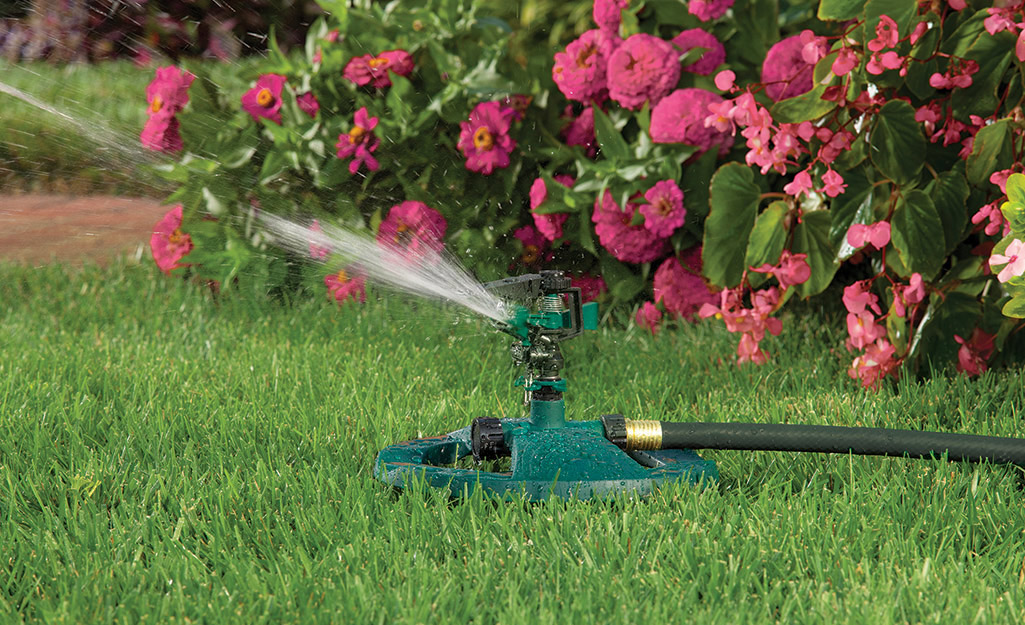 A sprinkler watering a lawn. A sprinkler watering a lawn.