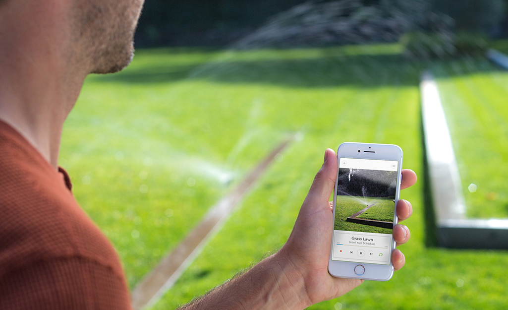 Person holding a phone with irrigation app Person holding a phone with irrigation app