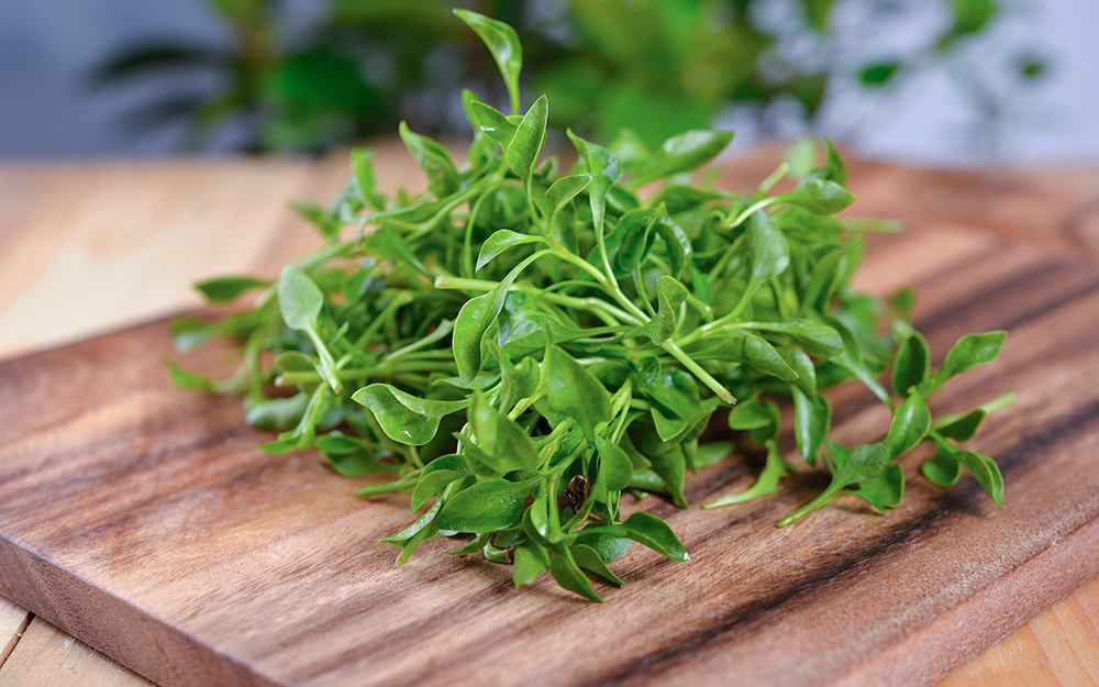 A pile of watercress on a cutting board.