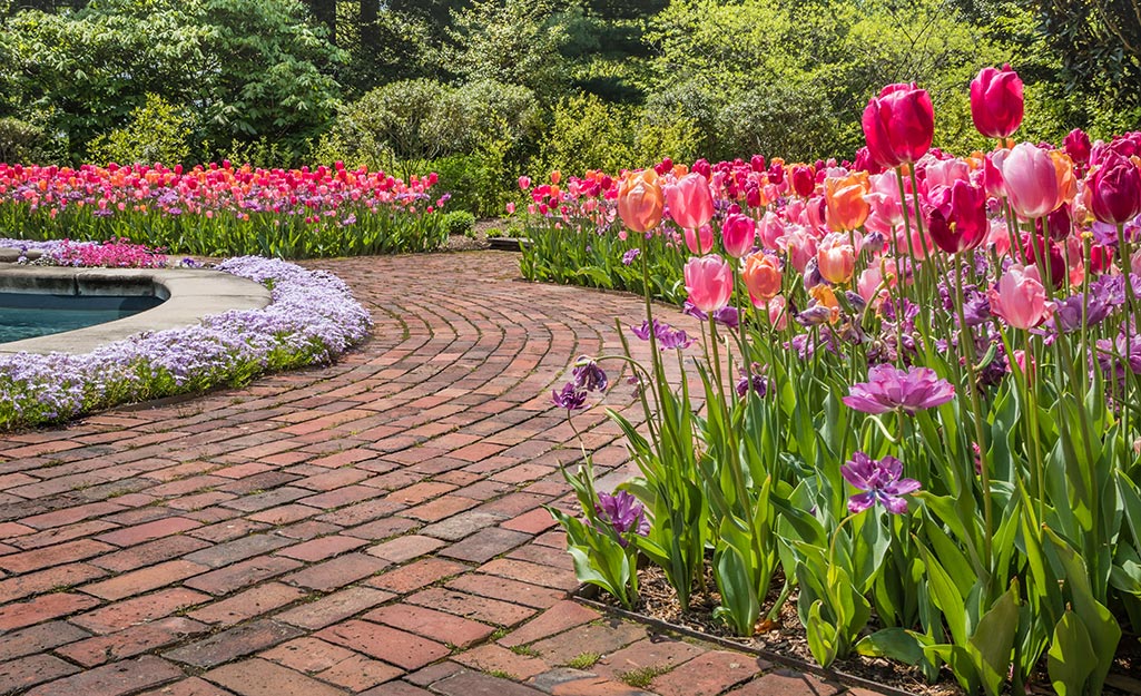 A curving brick walkway bordered on both sides by colorful flowers.