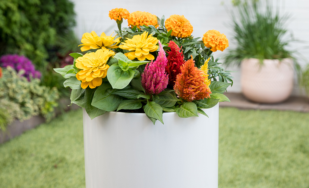 Brightly colored flowers bloom in a round white planter.