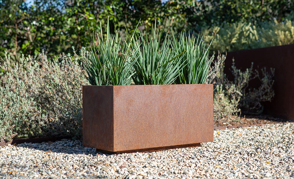Plants grow in a rectangular planter sitting on a gravel path.