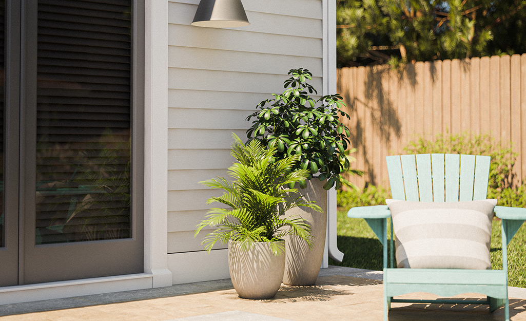 Two plants in planters stand on a patio next to a lounge chair and the door of a house.