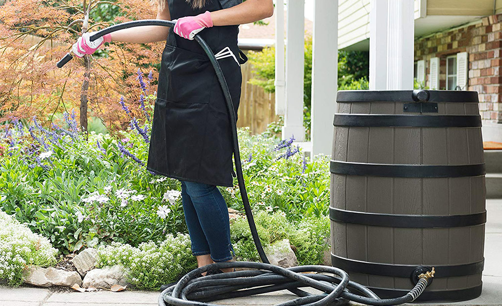 Someone watering flowers with a garden hose connected to a rain barrel.