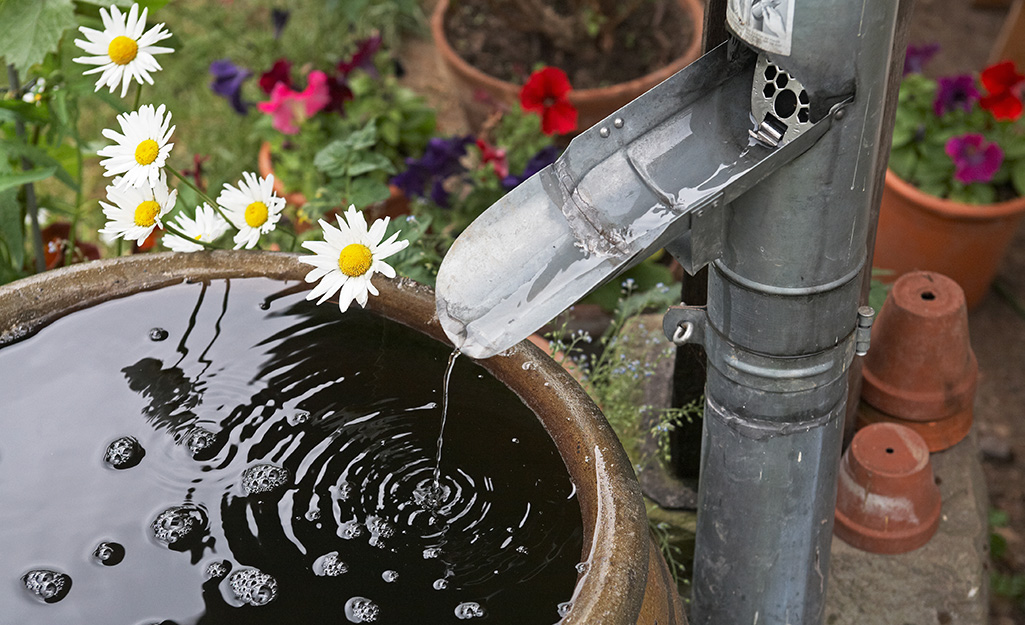 Mga Uri ng Rain Barrels - Ang Home DepotMga Uri ng Rain Barrels - Ang Home Depot  