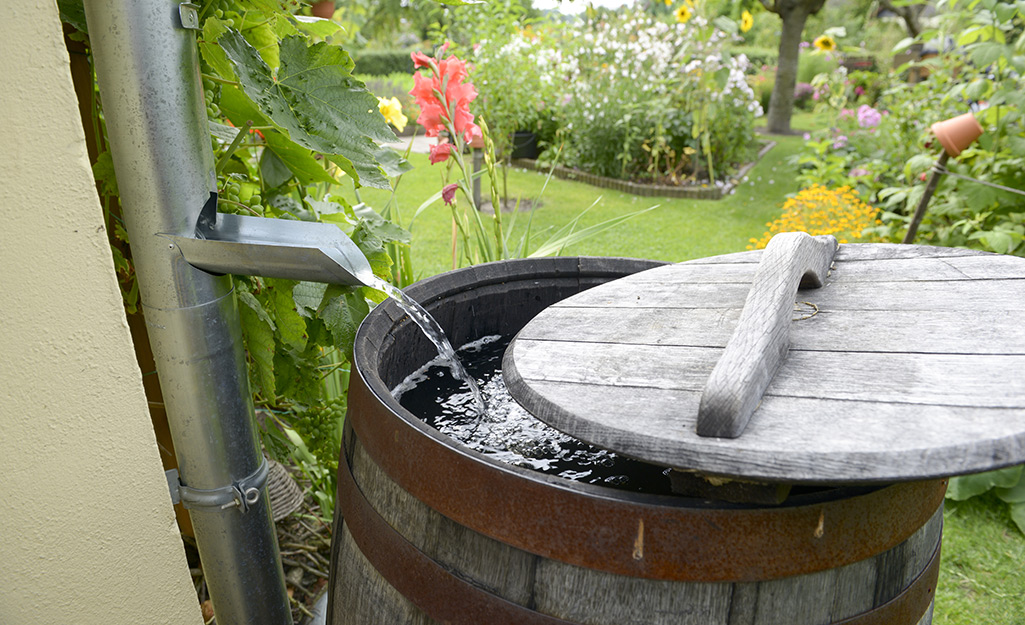 Water flowing from a downspout into a rain barrel with a partially open lid.