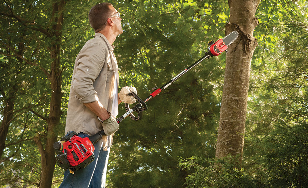 A person using. gas pole saw to cut limbs from a tree.