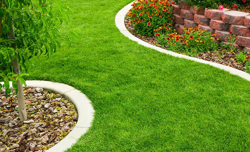 A lush green lawn grown from sod is edged with white border stones.