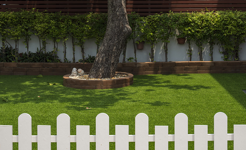 A sunny and green backyard has dappled shade under a large tree.